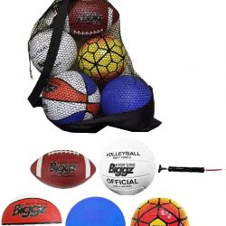 Bag of Sport Balls – Basketball, Soccer Ball, Football, Volleyball, Playground Ball, and Pump